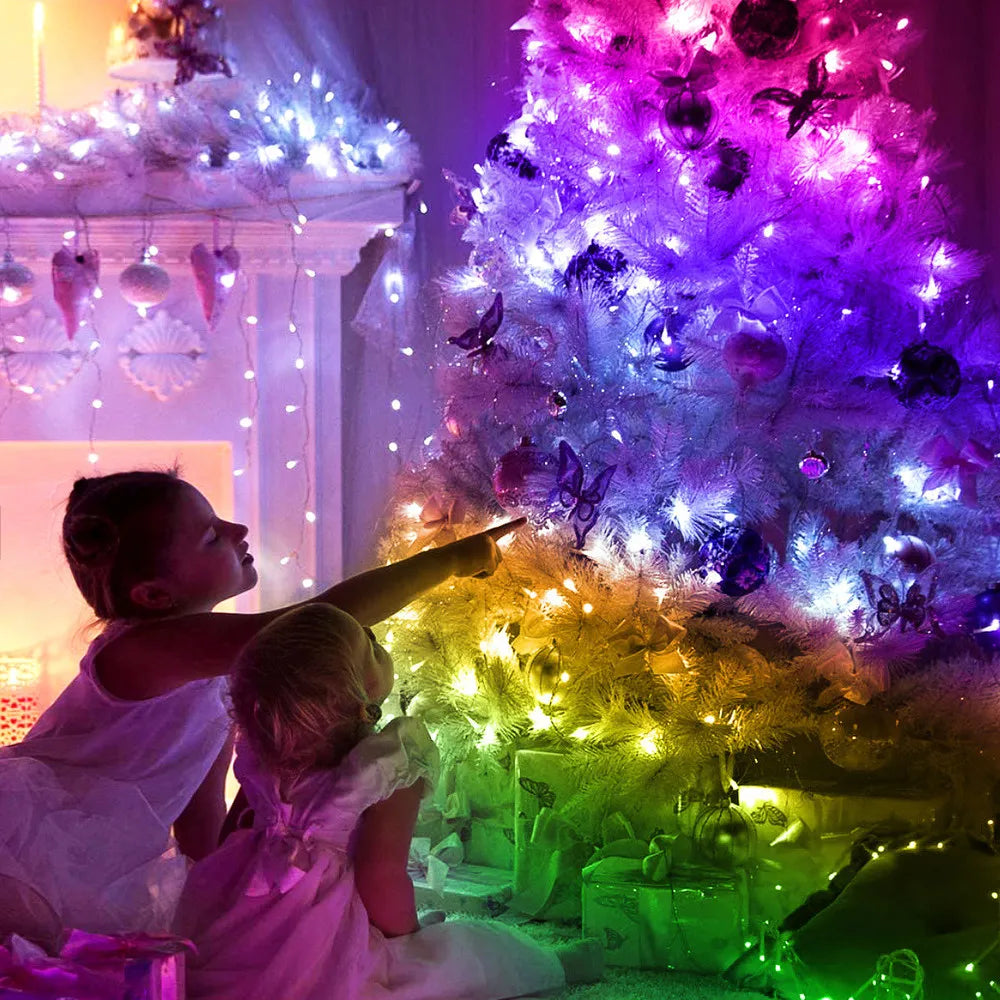 Smart RGB Christmas Fairy String Light with bluetooth app