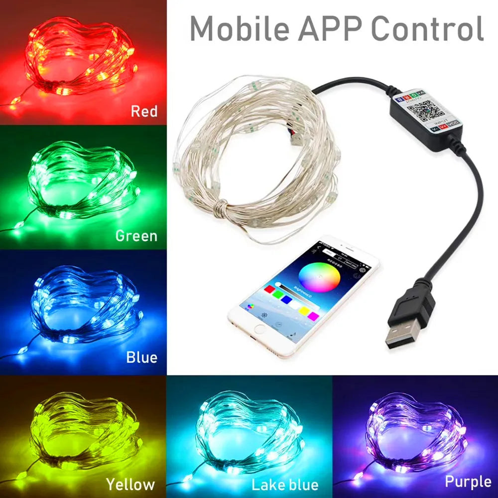 Smart RGB Christmas Fairy String Light with bluetooth app